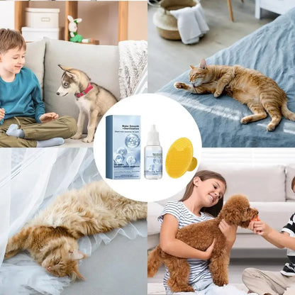 Steamed dog brush with essential oil Electric Spray Cat Hair Brush 3 in1 Dog Steamer Brush for Massage Pet Grooming Removing