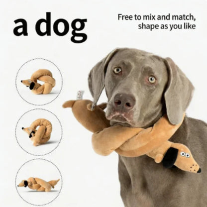 Snail shaped dog and cat toys, pet products, pet supplies, mats to hide food odors, training puzzles, and fun sniffing toys